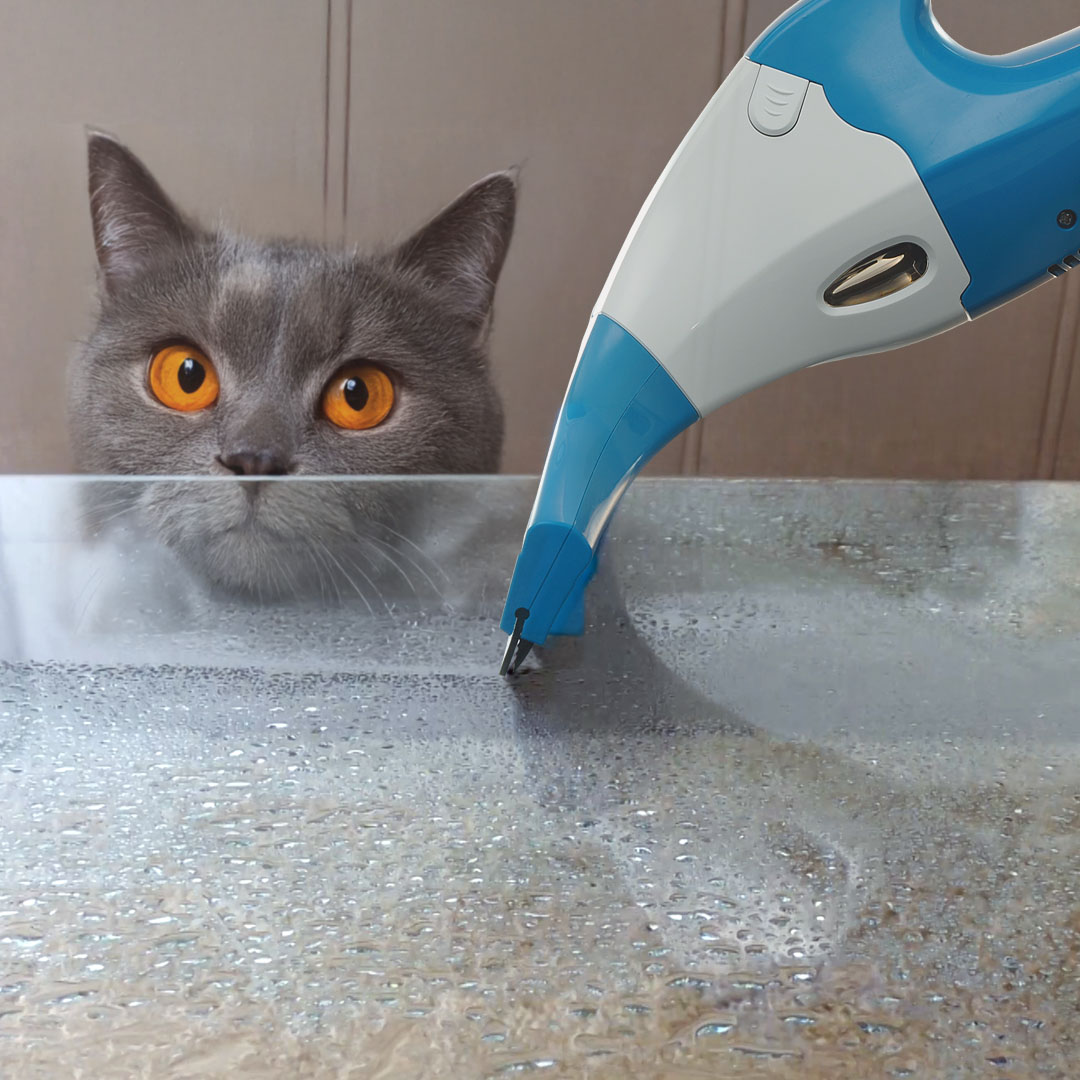 THOMAS Window Jet 2in1: effortless, streak-free cleaning for glass surfaces