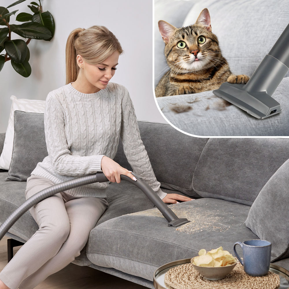 Dry cleaning of upholstered furniture